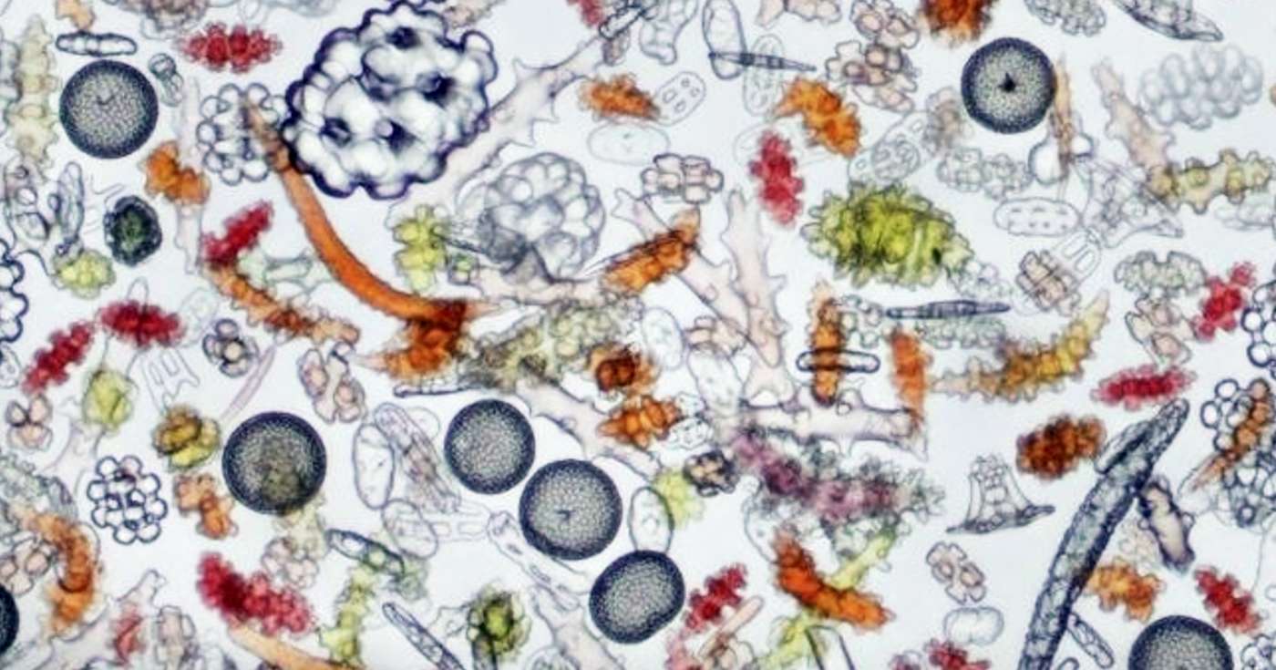 Regenerative Aotearoa NZ, Hidden Consciousness of Water