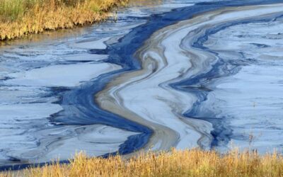How does water pollution affect us?