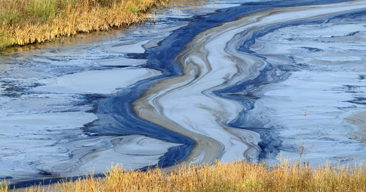 Regenerative Aotearoa NZ, How does water pollution affect us?