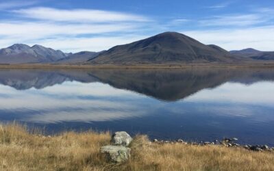 Arawai Kākāriki wetland restoration programme