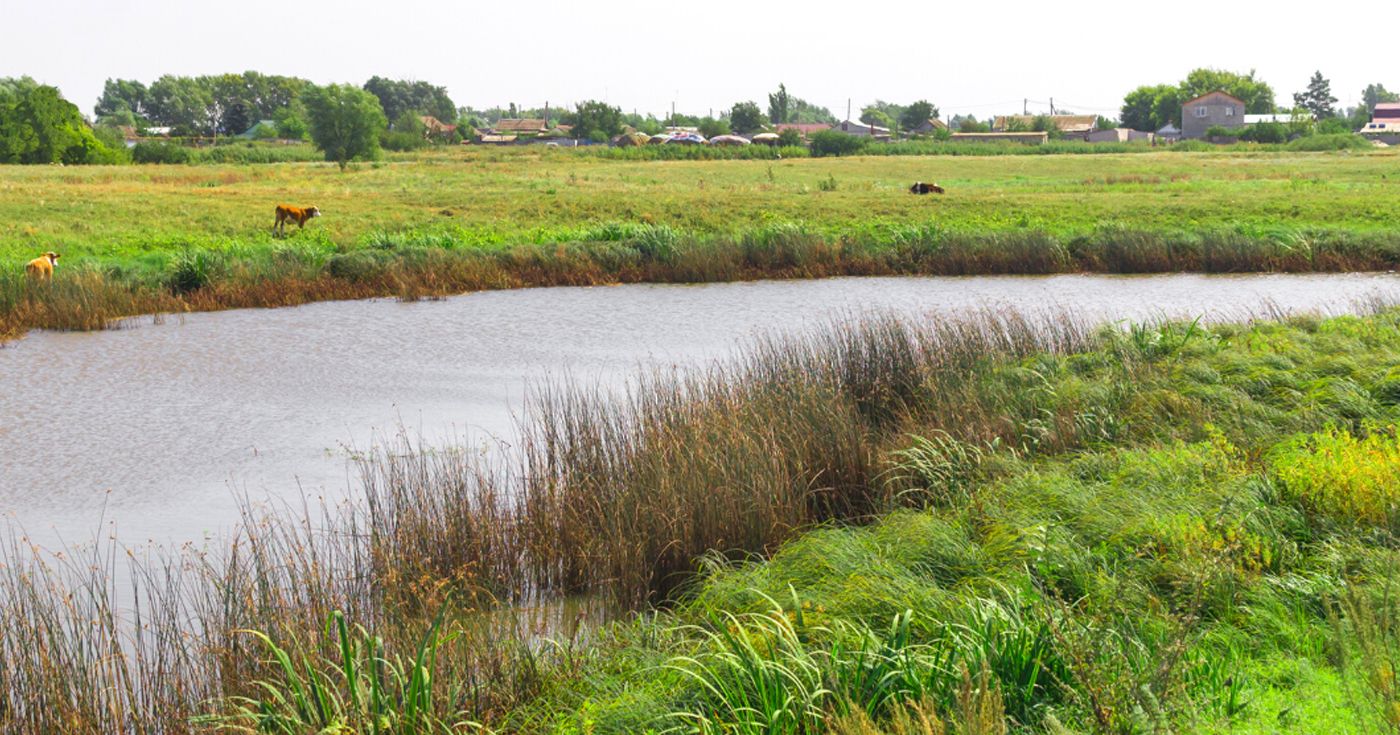 How Regenerative Agriculture Can Help Improve Water Quality