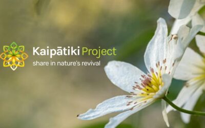 Eco-sourced seeds contributing to plant species with conservation importance in Tāmaki Makaurau