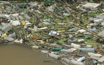 Water Pollution Solutions