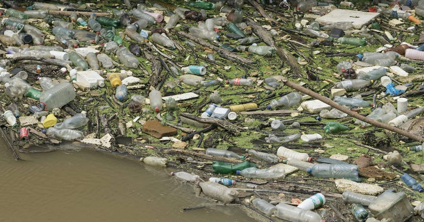 Regenerative Aotearoa NZ, Water Pollution Solutions