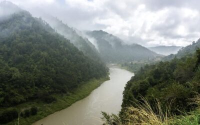 The New Zealand river that became a legal person