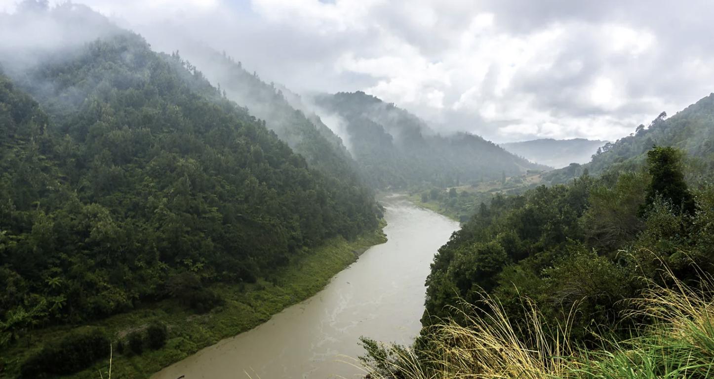 Whanganui River