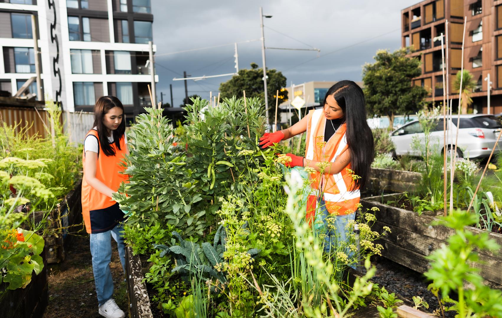 Regenerative Aotearoa, An Education Model 3a An Education Model, Regenerative Aotearoa