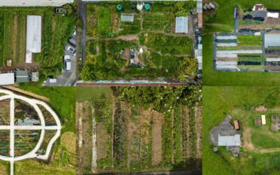 Communities of Regenerative Learning