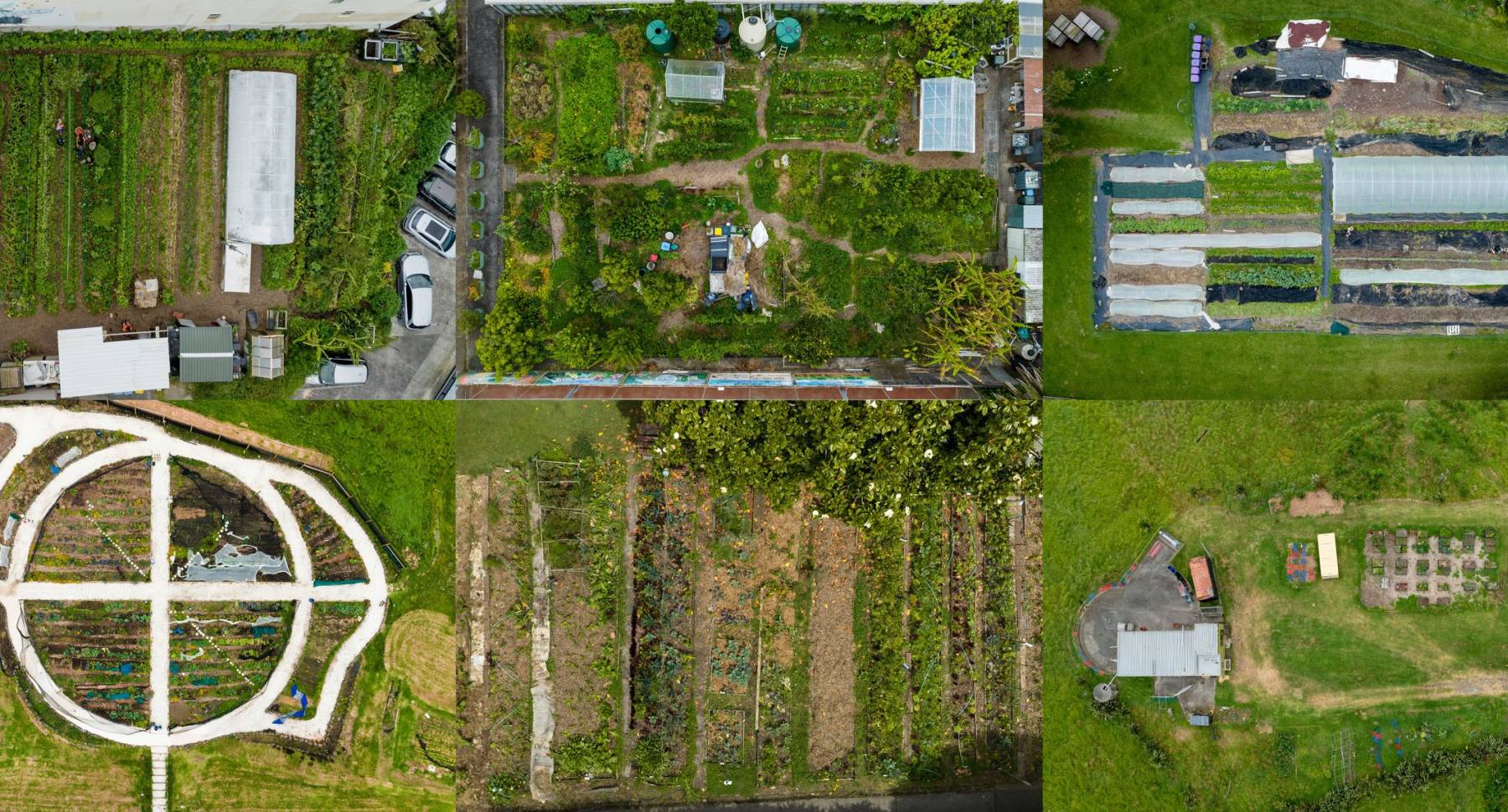 Regenerative Aotearoa, Communities of Regenerative Learning