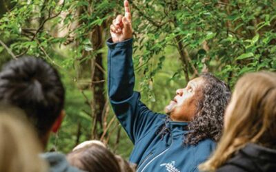 Learning to be kaitiaki at Whakarongo School