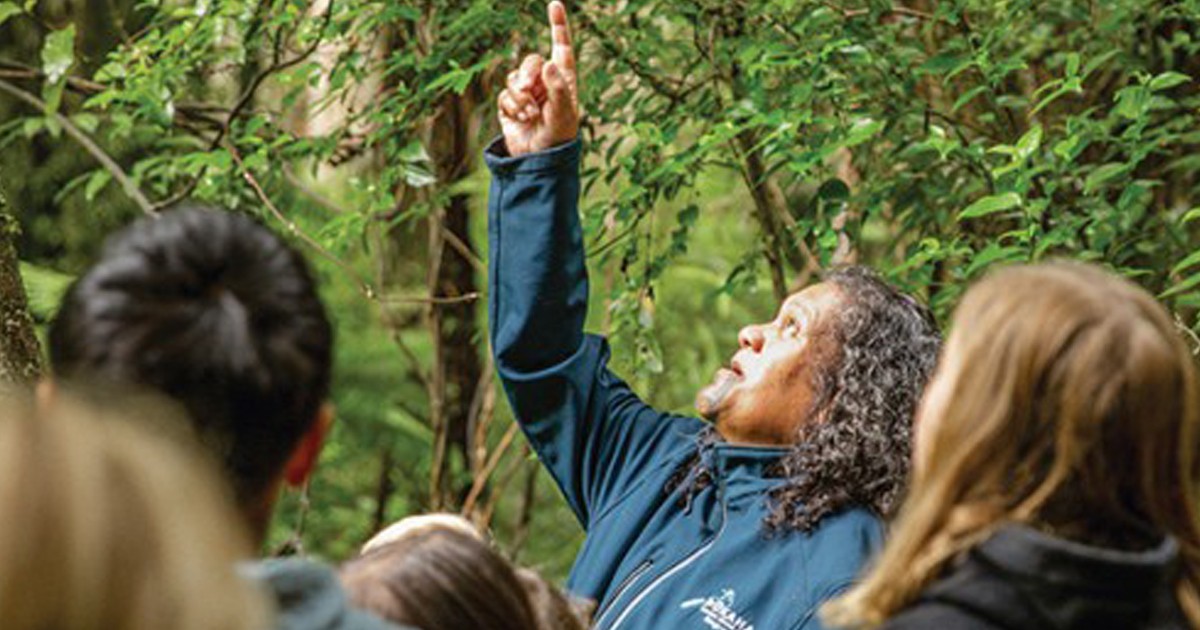Regenerative Aotearoa, Learning to be kaitiaki at Whakarongo School 2