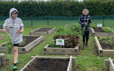 Measuring Change in an Enviroschool
