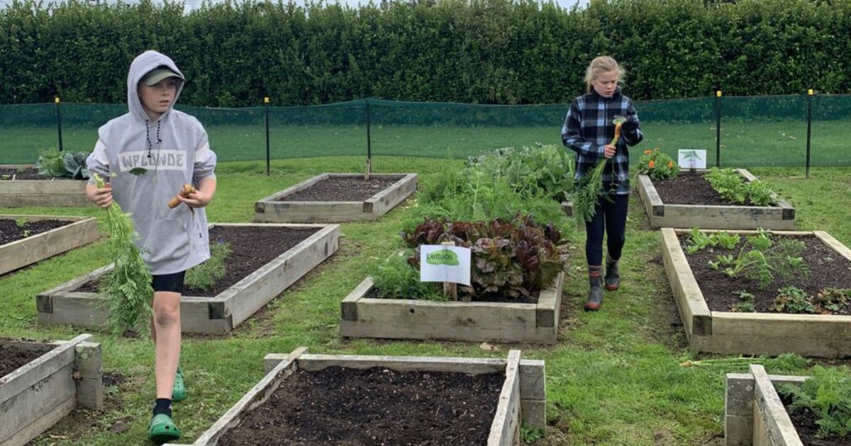 Regenerative Aotearoa, Measuring Change in an Enviroschool