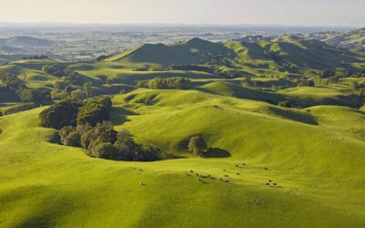 New Zealand Leads the Way on Regenerative Agriculture Methods