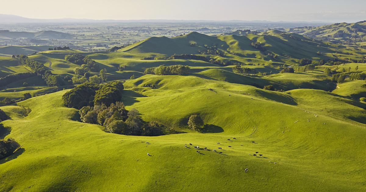 Regenerative Aotearoa, New Zealand Leads the Way on Regenerative Agriculture Methods