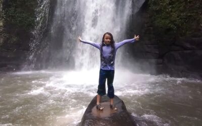 Regenerative Education: Teaching and Learning that Heals and Restores