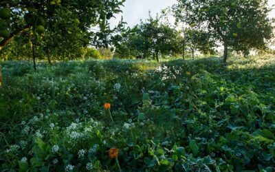 Farm like the world depends on it