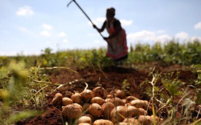 Regenerative food systems can change the story of how agriculture impacts climate change