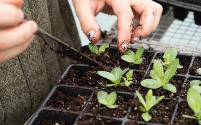 Supporting Regenerative Agriculture