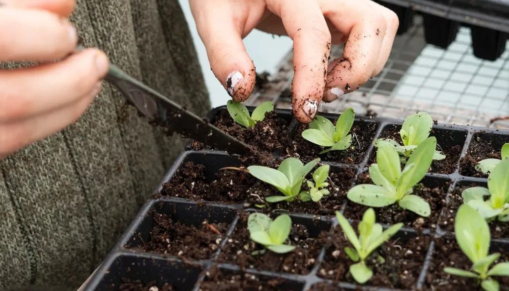 Supporting Regenerative Agriculture