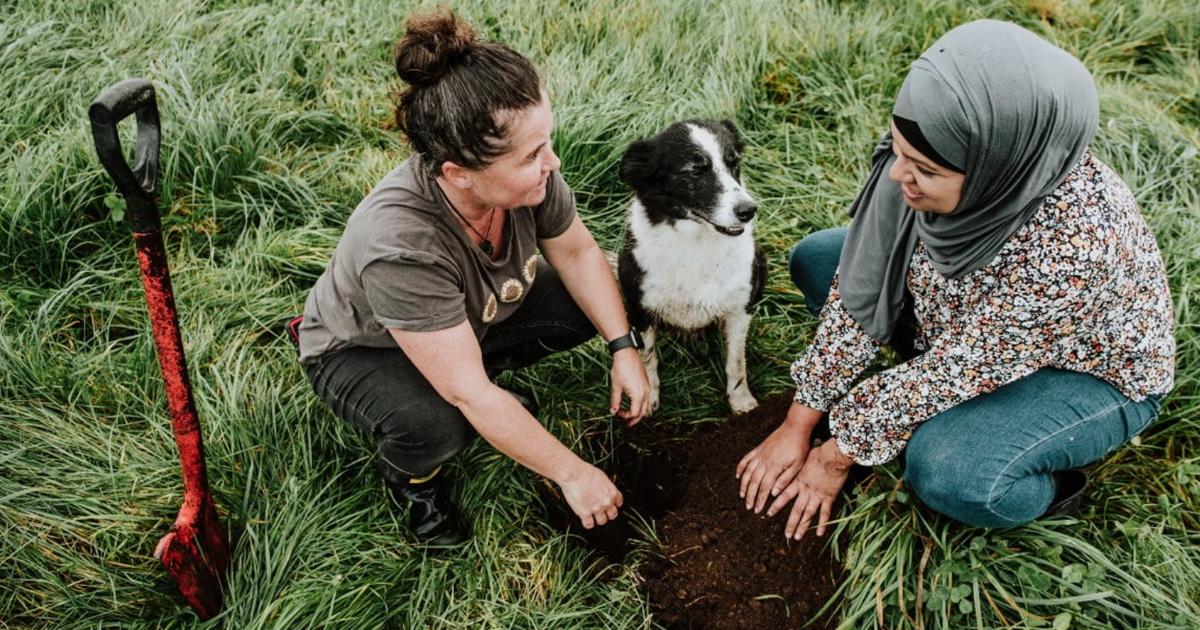 Regenerative Aotearoa, Te Ao Maori Approaches to Farming