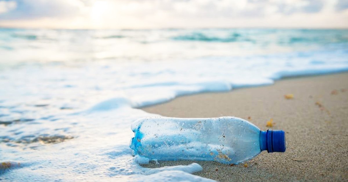 Zero co-founder Mike Smith on business, plastic bottle on beach