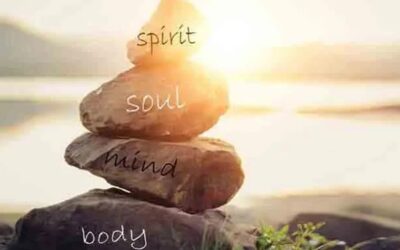 A Beginner’s Guide to Holistic Health & Why It’s Important