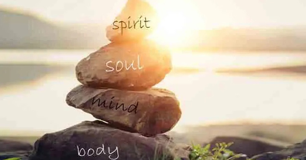 Beginners Guide to Holistic Health and Why It is Important featured image