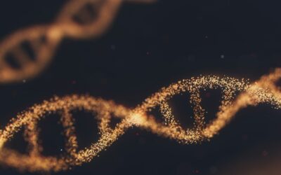 Emerging frontiers in regenerative medicine