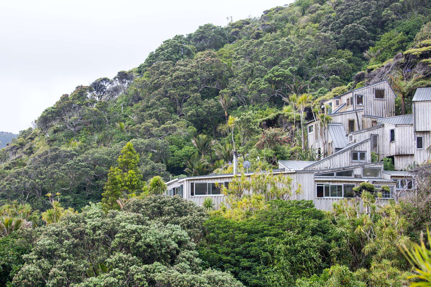 Healing Spaces, Regenerative Aotearoa