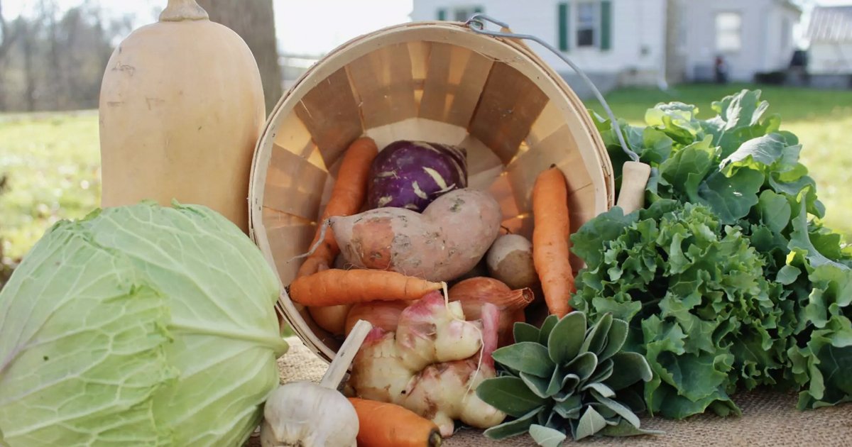 Regenerative Aotearoa New Zealand Human Health post