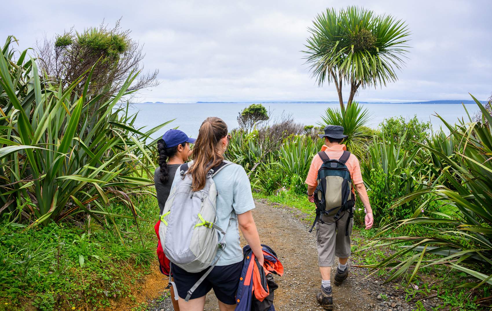 Regenerative Aotearoa, An Education Model