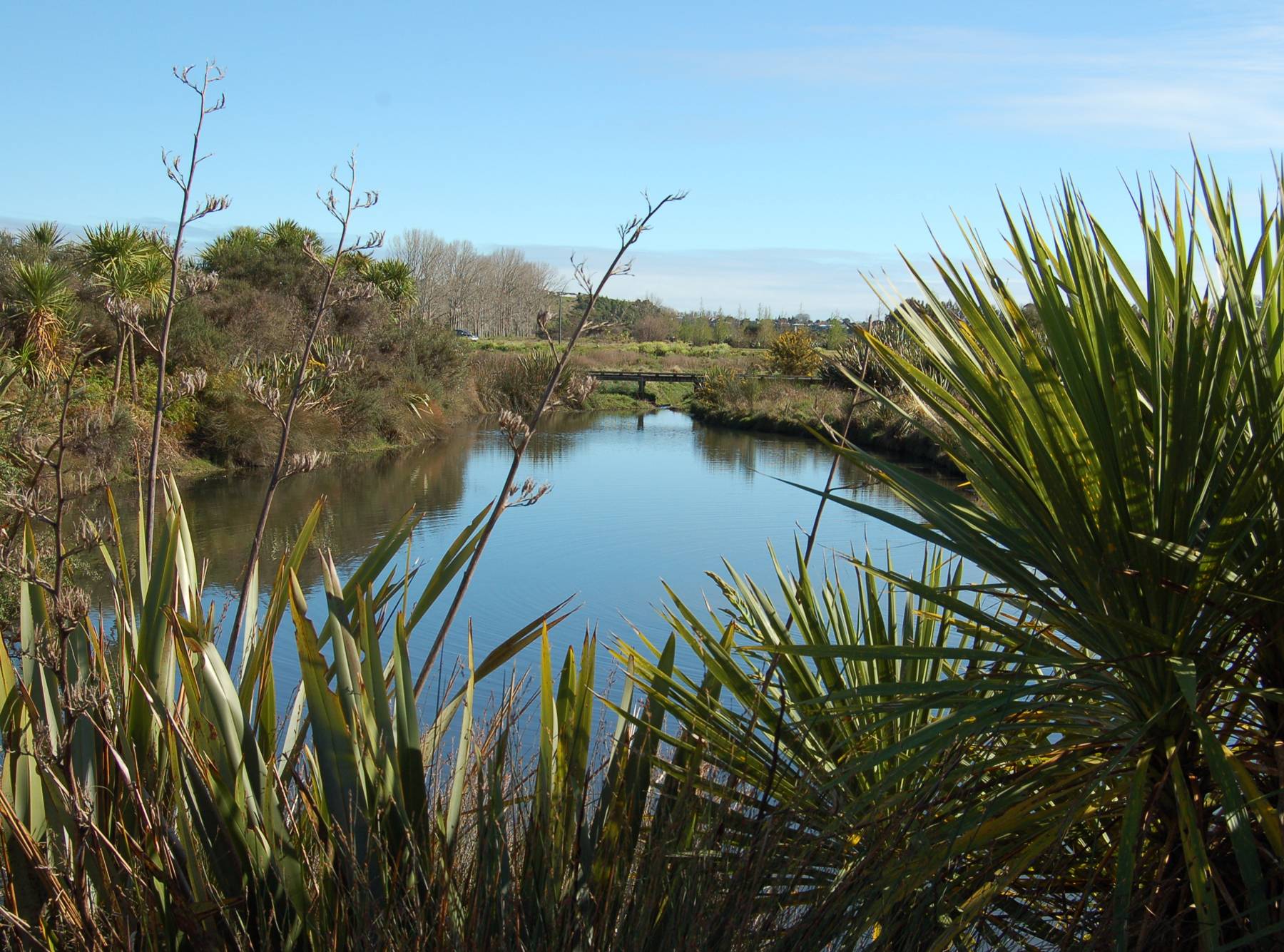 Regenerative Aotearoa NZ - Water