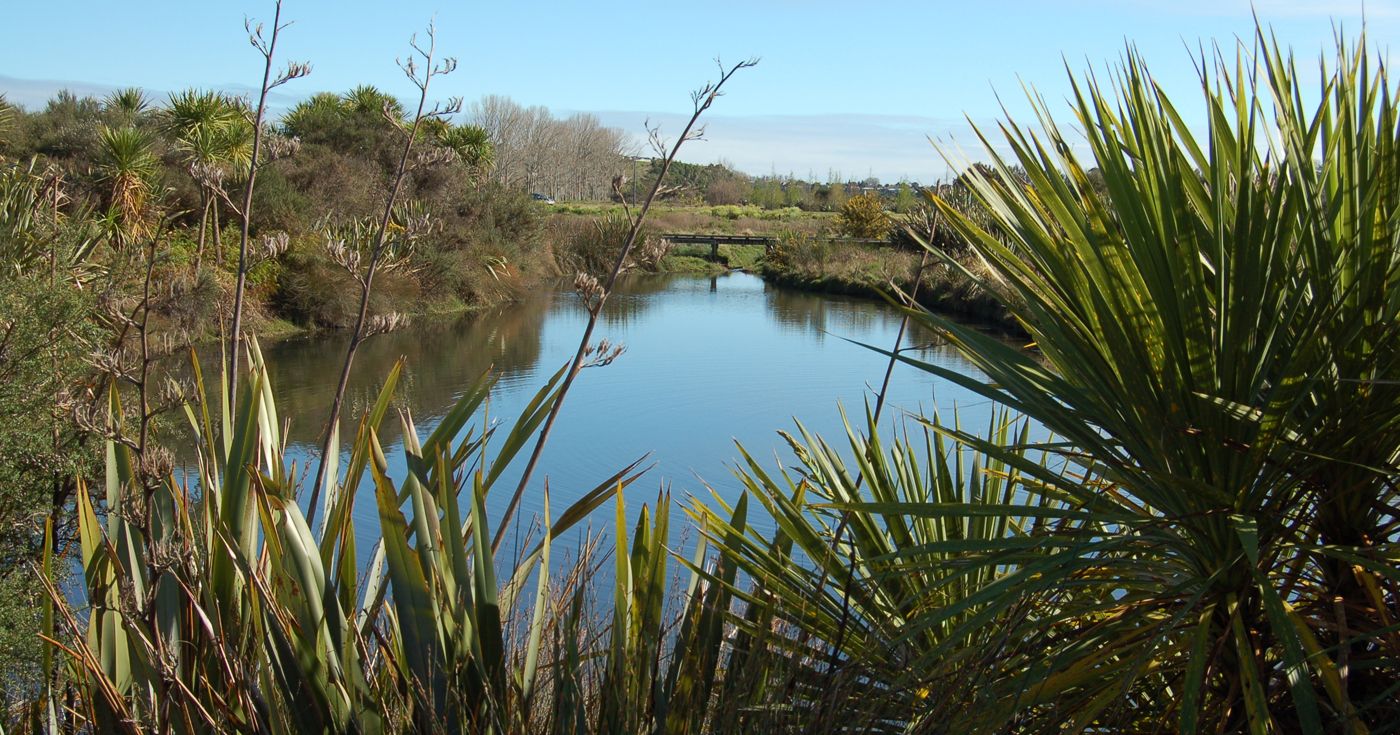 Water Regenerative Aotoaroa New Zealand