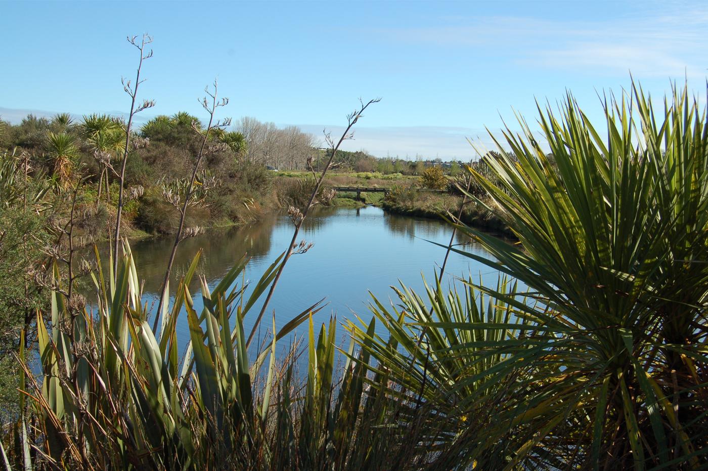 Regenerative Aotearoa NZ - Water