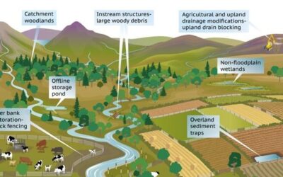 Regenerative Food System