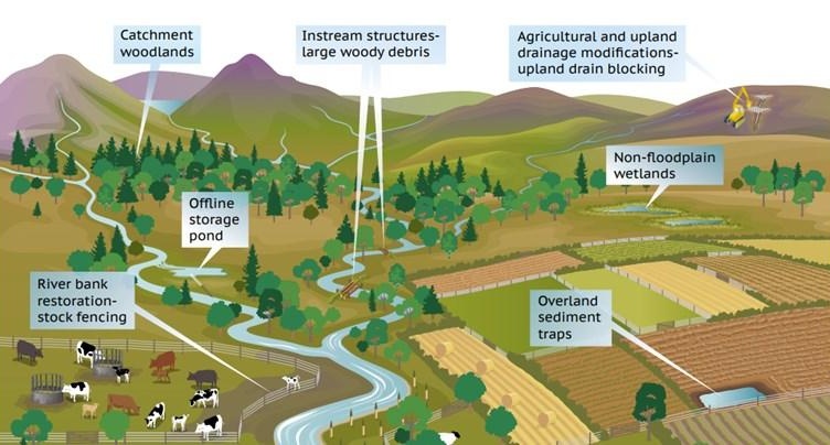Regenerative Food System land use nature