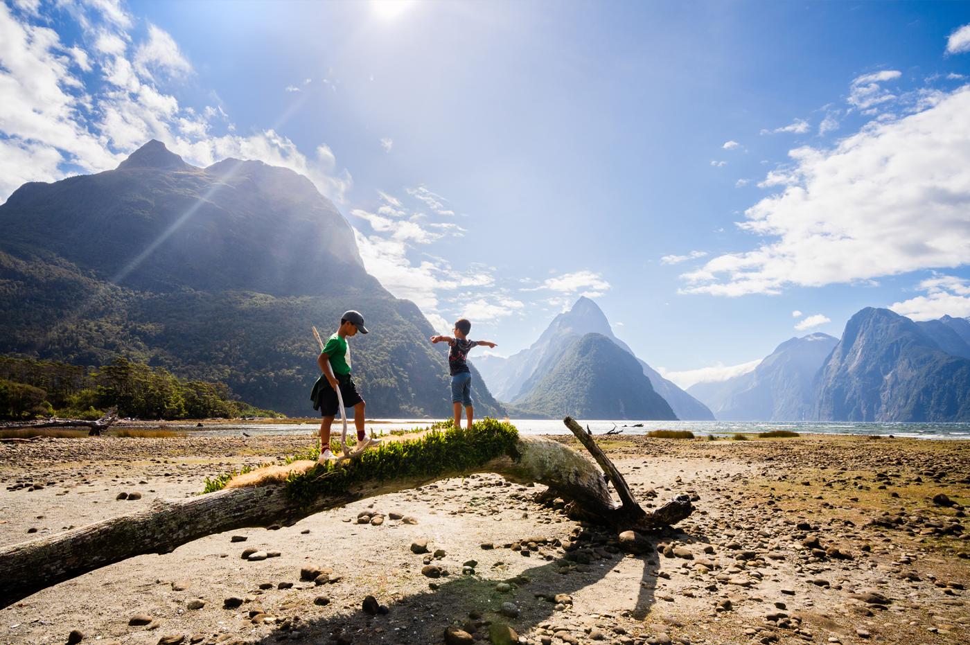 Regenerative Aotearoa, Education