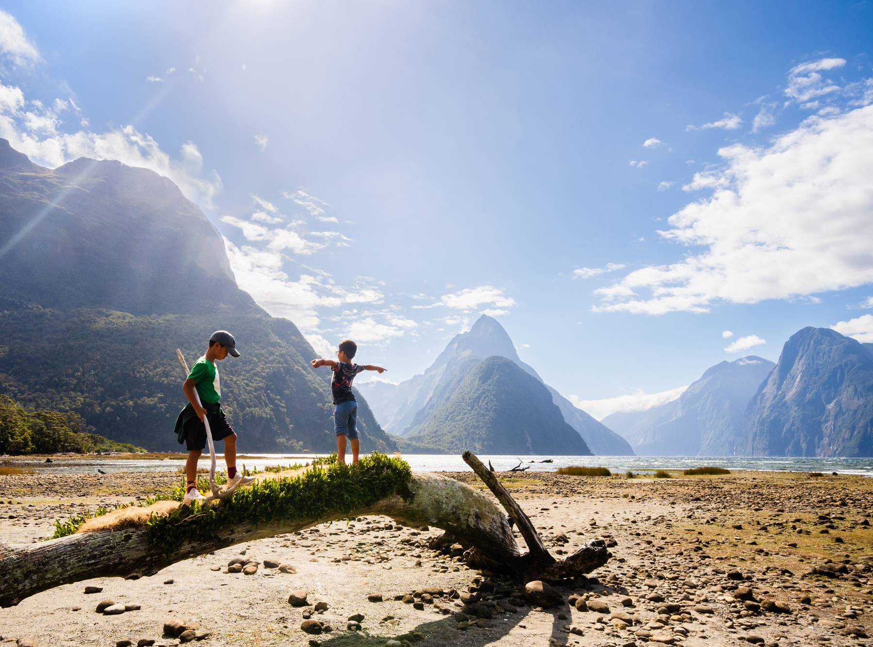Regenerative Aotearoa, Education