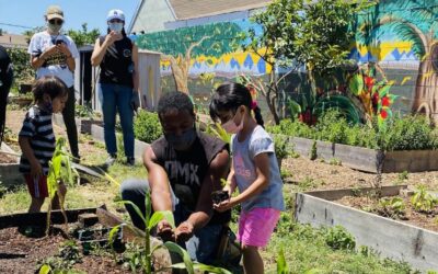 Regenerative Communities