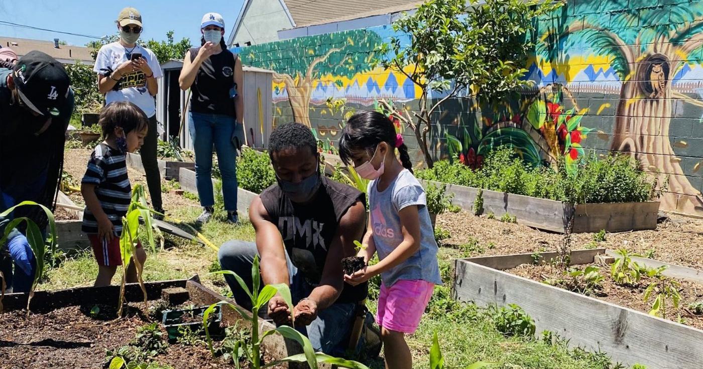 Regenerative Communities and Housing