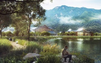 Why It’s Time to Apply Regenerative Systems Design on a Global Scale