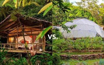 The Difference Between an Ecovillage and a Regenerative Village