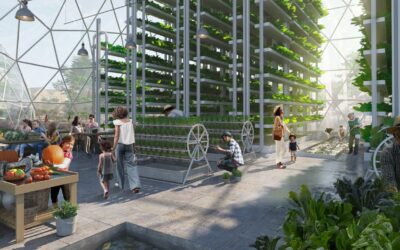 The Opportunity, the Solution, Climate Action