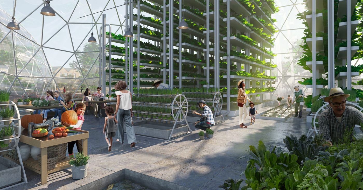 The opportunity, the solution, climate action
