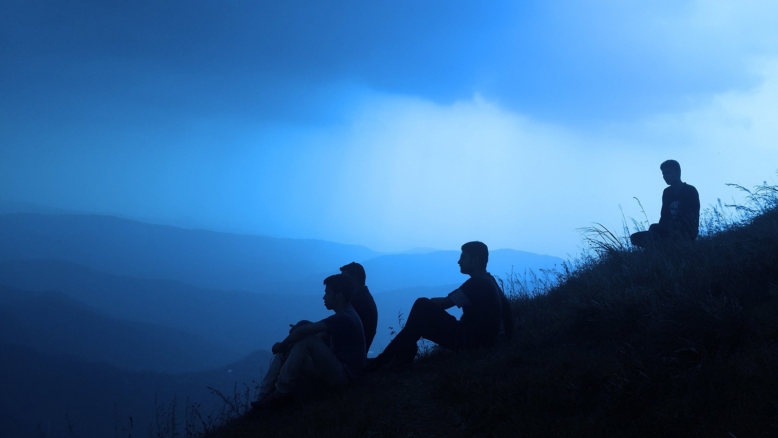 Collective Leadership, Regenerative Aotearoa