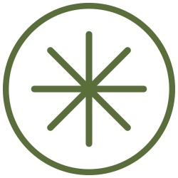 Regenerative Leadership Icon, Regenerative Aotearoa