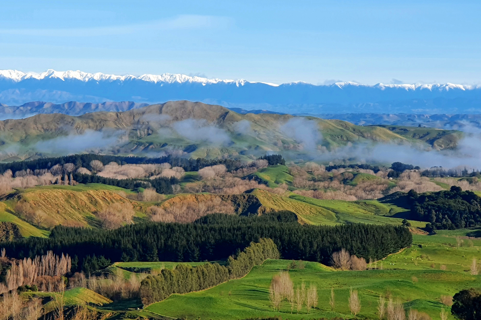 Mountain vista, the southern alps, Regenerative Tours New Zealand Aotearoa
